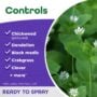Weed Beater Plus Crabgrass & Broadleaf Weed Killer Spray – Bonide – 32 oz